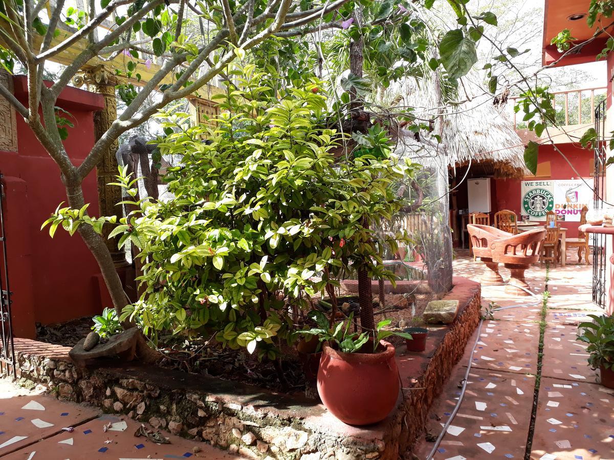 Bed and Breakfast El Chac Mool Santa Elena Exterior foto